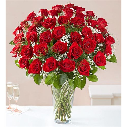 48_roses_red