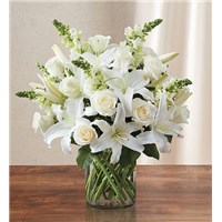 Classic_All_White_Arrangement&trade;_for_Sympathy